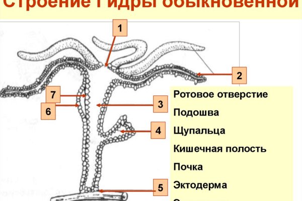 Кракен что это за сайт